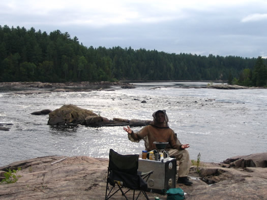 Quebecs bug festival